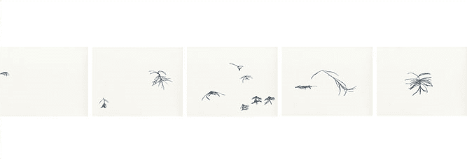 Movement